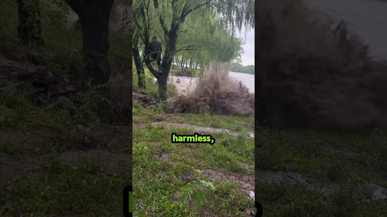 How fast flash floods happen 😯