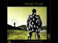 Comfortably numb - delicate sound of thunder ...