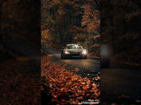 ZBUKU x Małach x Rufuz x Dj Element- Wiem co jest 5  vol. II (Alvin i Wiewiórki)