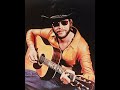 Hank Williams, Jr - I Really Did