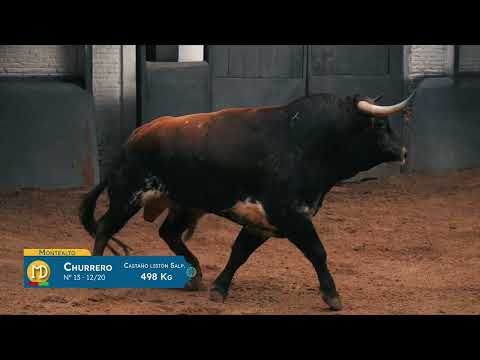 SORTEO | Novillos Montealto, 14 de mayo