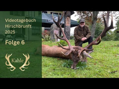 Goldmedaillen Hirsch erlegt! Hirschbrunft in Masuren / Polen | Tag 6