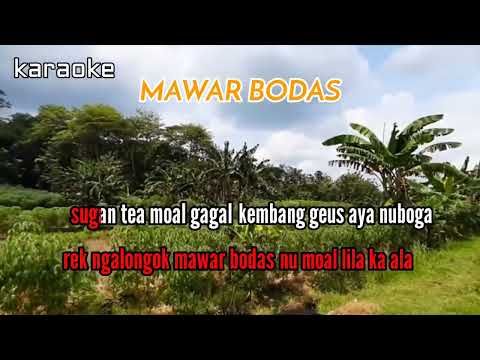 MAWAR BODAS Karaoke Koplo Versi Kendang Rampak