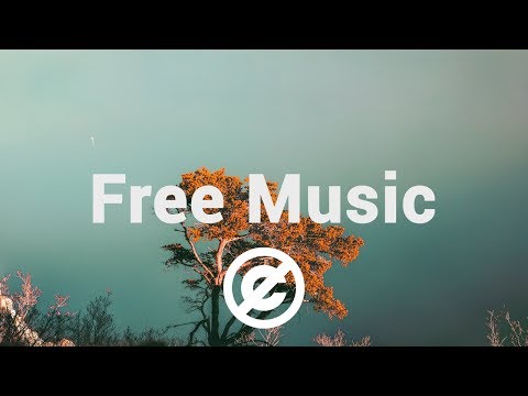 [Non Copyrighted Music] @DjQuadsOfficial - Birds And The Bees [Chill Hop]
