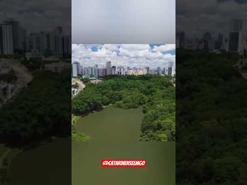 Você conhece a história de Goiânia? deixe nos comentários! 👇 #goiania #Goiás