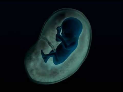 Teaser Familia Dividida