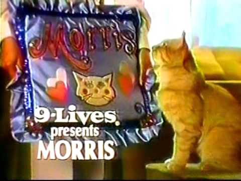 ABC Commercials (KMBC-TV) - January 1982
