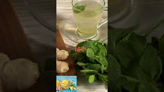 お腹の張りを和らげ、腸の健康をサポートする最高の天然ドリンク｜飲むベストタイミング