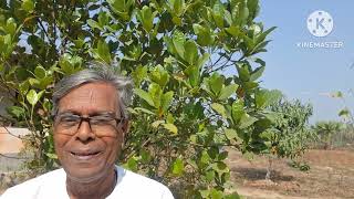 Download lagu Anandapath Episode-994 A brief conversation with a saint at Erandi Sangam. mp3