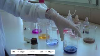 Download lagu pH MEASUREMENT OF ACIDIC AND BASIC SOLUTIONS WITH DIFFERENT INDICATORS mp3
