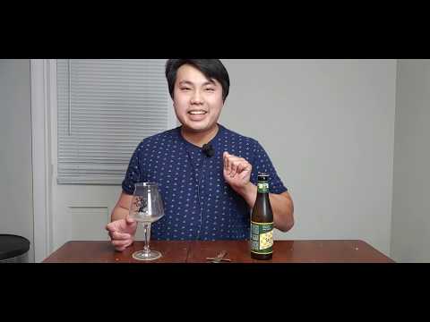 Saison Week! Brasserie Dupont Saison Dupont (THE Classic Saison!) Review - Ep. #2401
