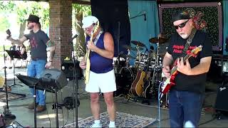 Signs - Five Man Electrical Band - Neighborhood Picnic Band 2023