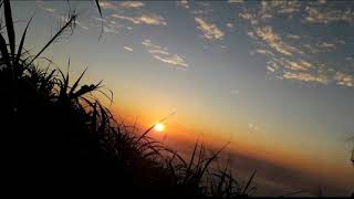 Download lagu Cinta se gosa sasi (lagu tidore) mp3