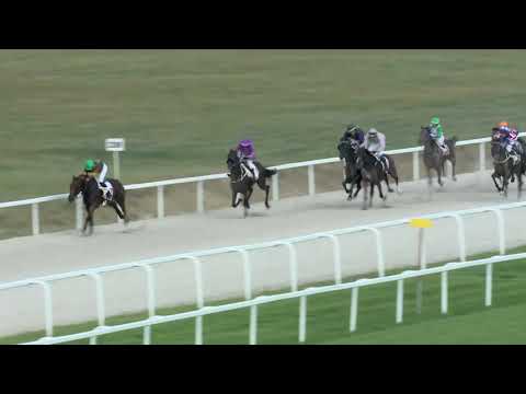 2019.08.25. 06. futam - NÉMETH FERENC EMLÉKKUPA IV. FUTAMA HENDIKEP (V/b.)(szintetikus pálya)