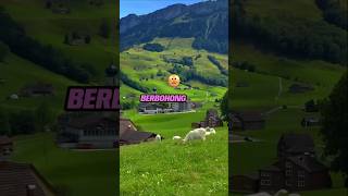 Download lagu Jangan berbohong #shots #beriterang mp3 Download lagu Jangan berbohong #shots #beriterang mp3