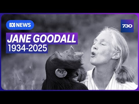 The inspirational life of Jane Goodall | 7.30