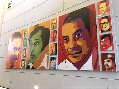 Day 20 : Viking River Cruises | Post Extension with Viking - Amsterdam Tour