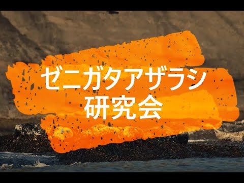 帯広畜産大学 ゼニガタアザラシ研究グループ 活動紹介（2022）