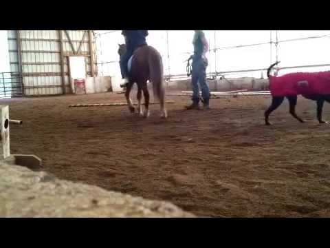 Andrew lunge lesson 5/23/13