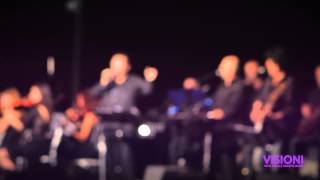 VISIONI - New Trolls Tribute Band