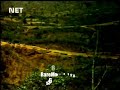 Patthar Aur Payal 1974 Net Vcd
