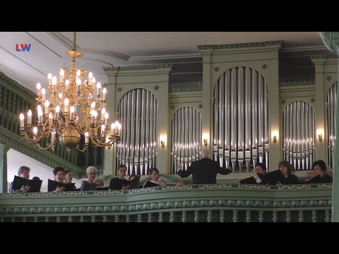 Elsterwerda: Historische Orgel erklingt wieder in der Stadtkirche - LAUSITZWELLE