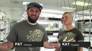 On BPG&#39;s Clone Shelf: Lablets, Heartlets &amp; Premium clones from Dark Heart Nursery