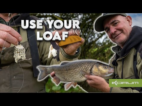 RIVER DOVE CHUB - BREAD FISHING