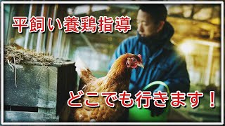 平飼い養鶏！出張指導どこでも行きます！