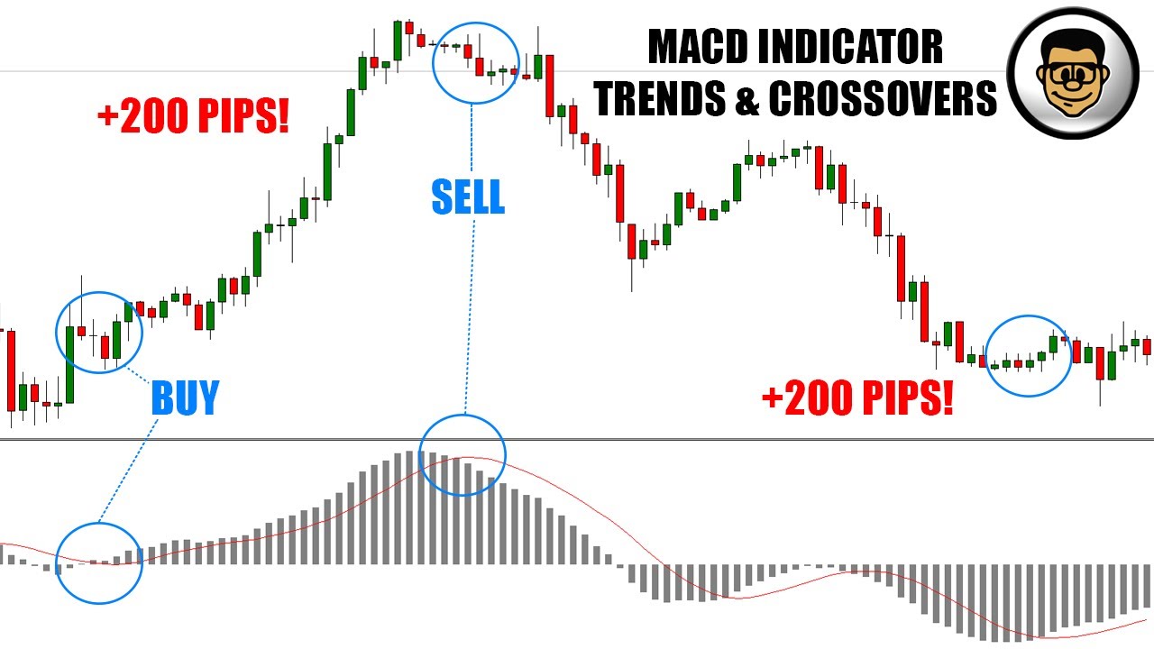 How to Use the MACD Indicator | MACD Trading Strategy