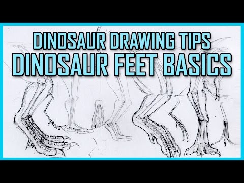 Dinosaur Feet Drawing Tutorial - Basic Principles of Dinosaur Feet and Legs