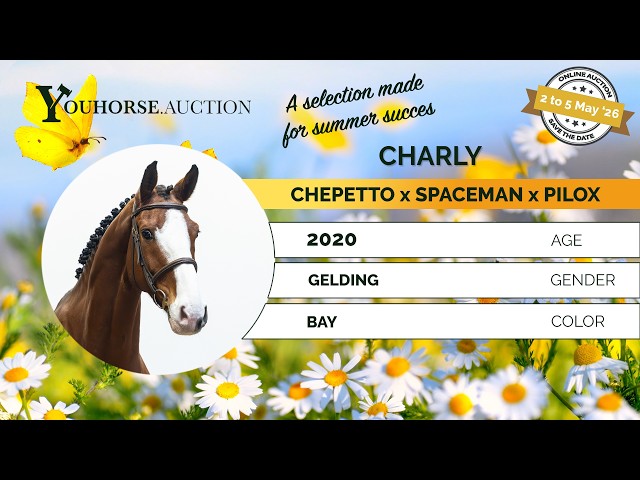 Charly showvideo indoor