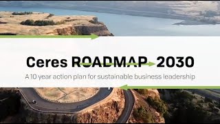 Ceres Roadmap 2030: What does sustainable business leadership look like in the future?
