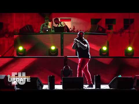 PINK BOSS & MORE - BEST PERFORMANCES OF 2018 - # 4