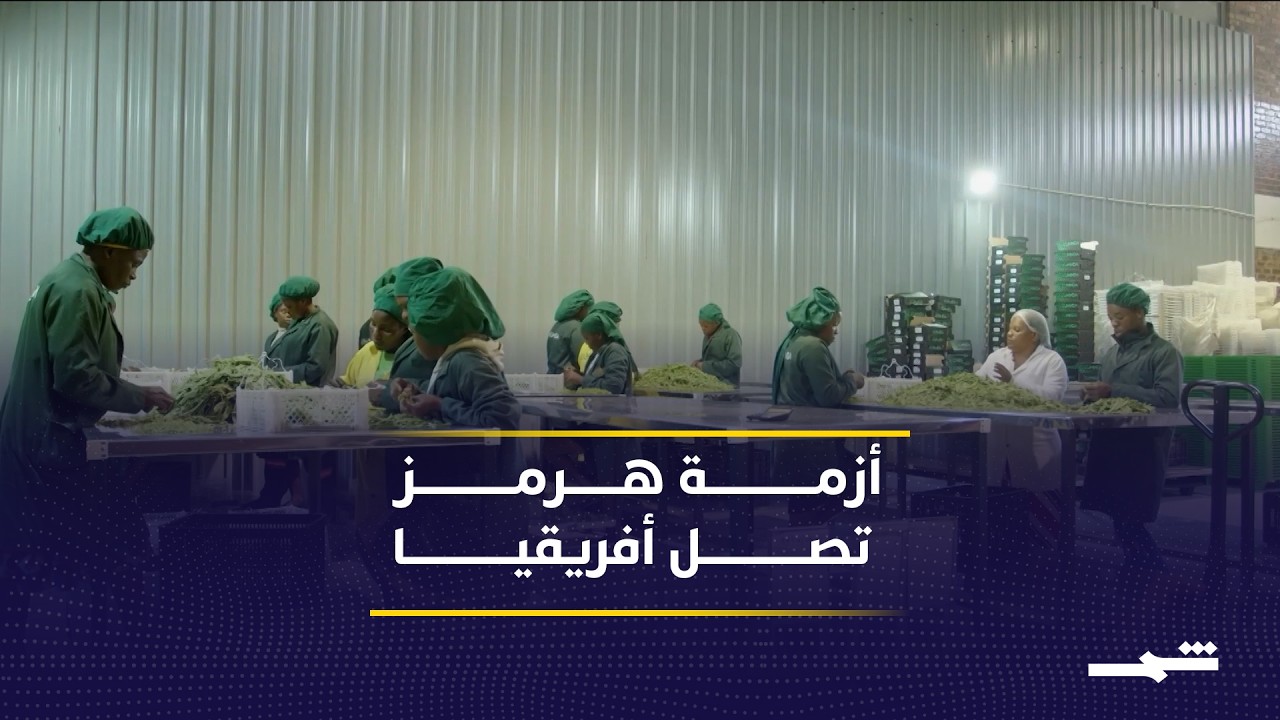 فيديو | إغلاق مضيق هرمز يرفع كلفة الشحن ويضر مزارعي زيمبابوي
