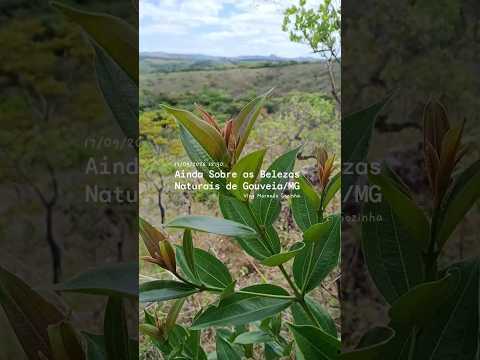 VLOG MORANDO SOZINHA: BELEZAS NATURAIS DE GOUVEIA/MG #natureza #ConexãocomaNatureza #GouveiaMG