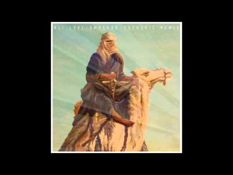 Sophonic Ft. Kali - Ali Love