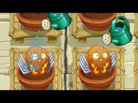 Plants vs Zombies 2 - Explode-O-Nut in Zen Garden
