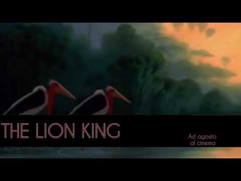 The circle of life ( The lion king) - Alessia  Volpicelli cover