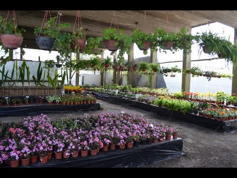 Nurseries as Research and Training Sites - TvAgro by Juan Gonzalo Angel