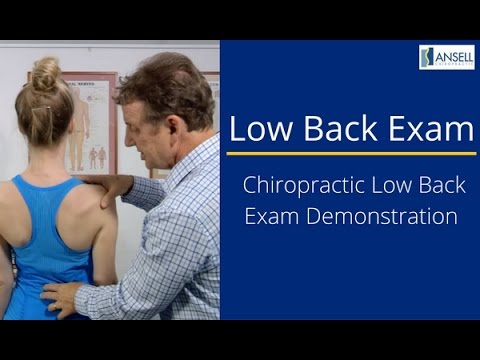 Low Back Exam