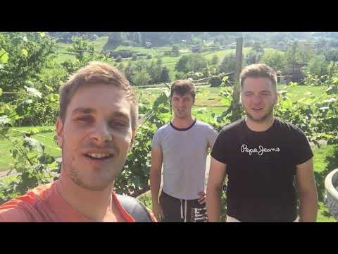 49. festival nzg "Števerjan 2019" - Ans. Zadetek - petek