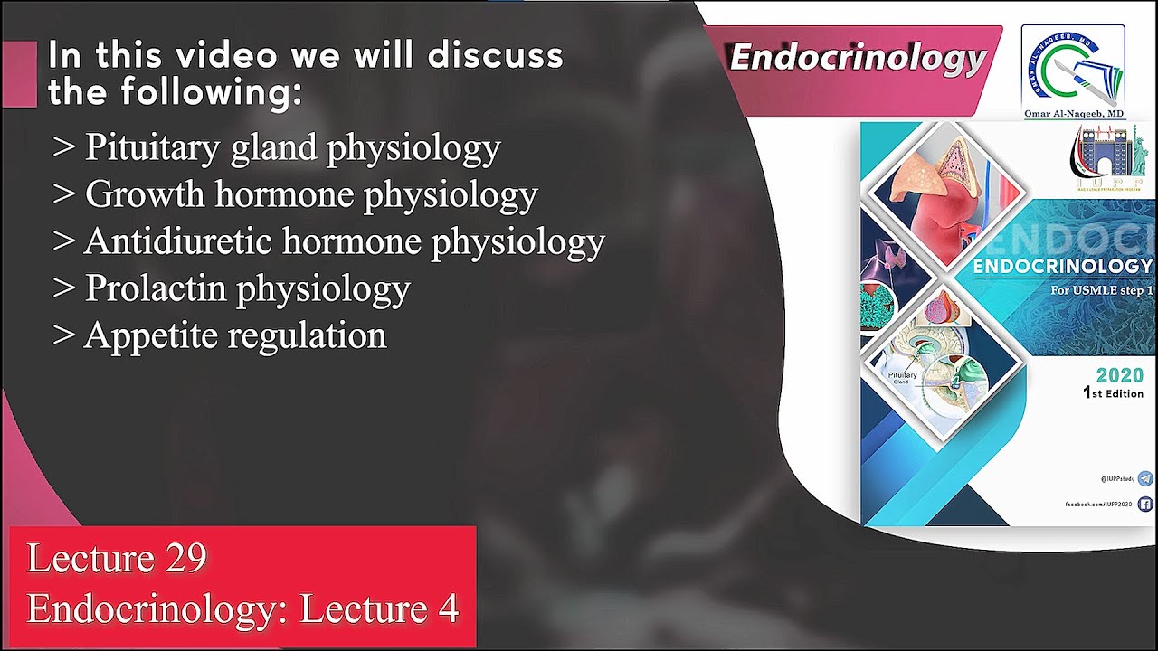 Physiology: Pituitary gland || Growth hormone || Antidiuretic hormone || Prolactin || Appetite