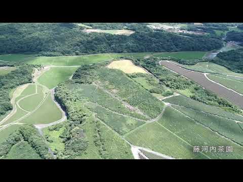 【宇部市】藤河内茶園【空撮・素材】