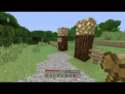 Minecraft Ps4/Ps3: MEGA PROJEKT #01 - Die Gemeinschaft
