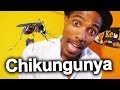 LA CHIKUNGUNYA | PARODIA DANZA KUDURO ...