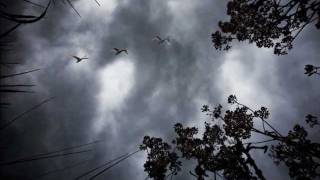 Joe Bongiorno - Your time