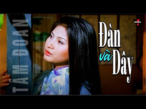 🌹VAN SON MV* Đàn Và Dây - Tâm Đoan @VanSon