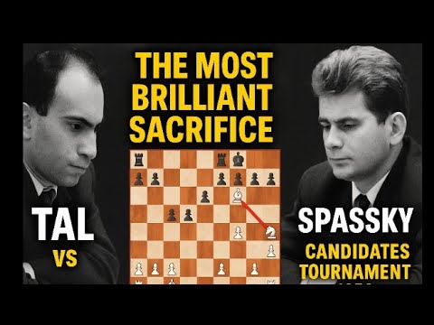 "Mikhail Tal vs Boris Spassky | The Most Brilliant Sacrifice Game Ever Played!"#chess #mikhailtal 