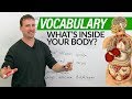 Learn English Vocabulary: Your Body & Organs
